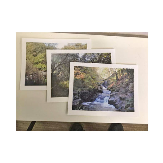 8x12 inch photo print - whitworthprints